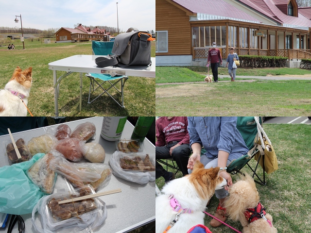 ファイル 82-9.jpg