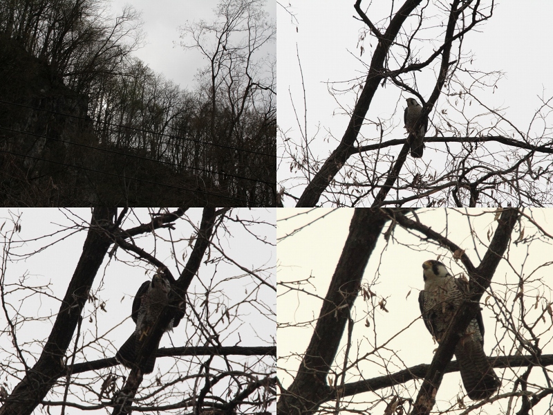 ファイル 83-1.jpg