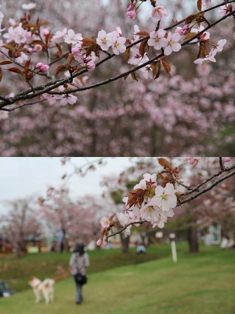 ファイル 83-2.jpg