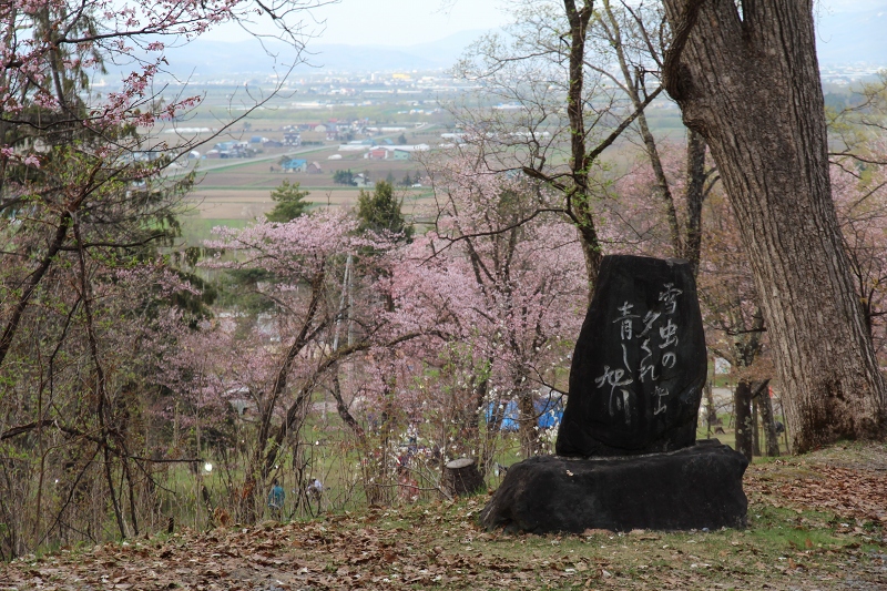 ファイル 83-6.jpg