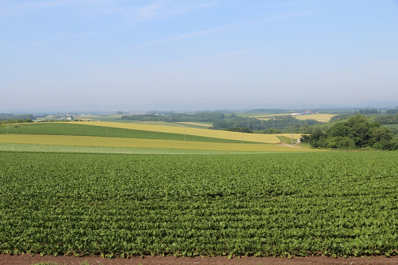 ファイル 84-1.jpg