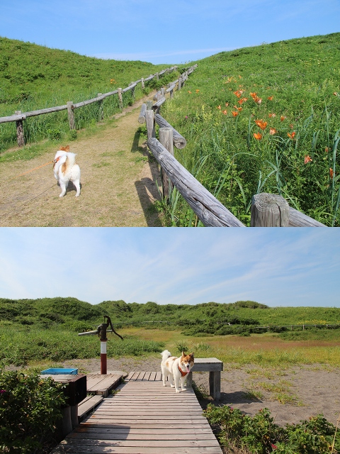 ファイル 84-7.jpg