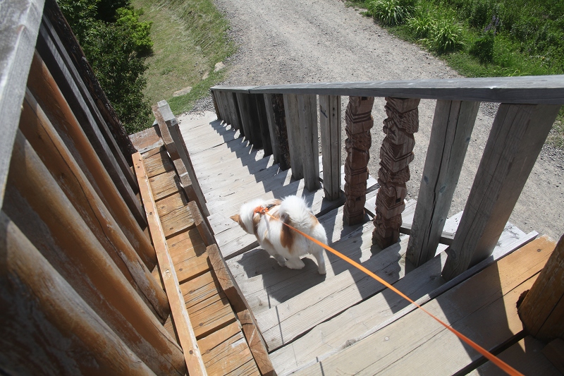 ファイル 85-3.jpg