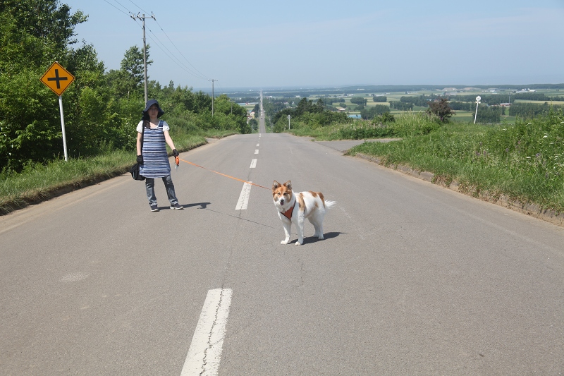 ファイル 85-5.jpg