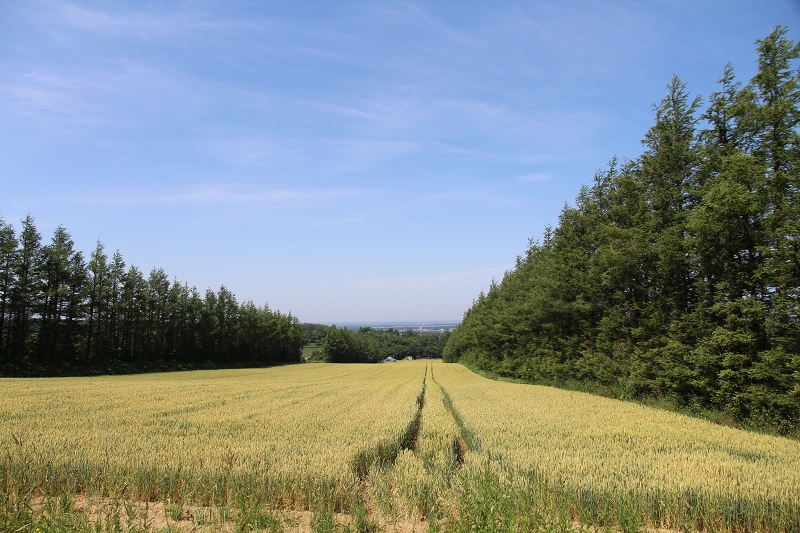 ファイル 85-6.jpg