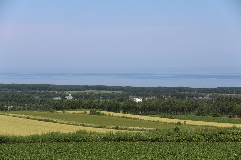 ファイル 85-7.jpg