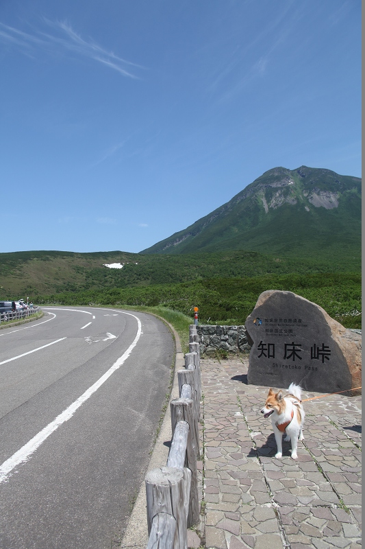 ファイル 87-1.jpg