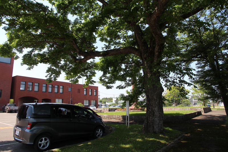 ファイル 87-7.jpg