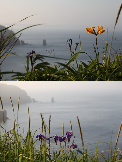 ファイル 89-4.jpg