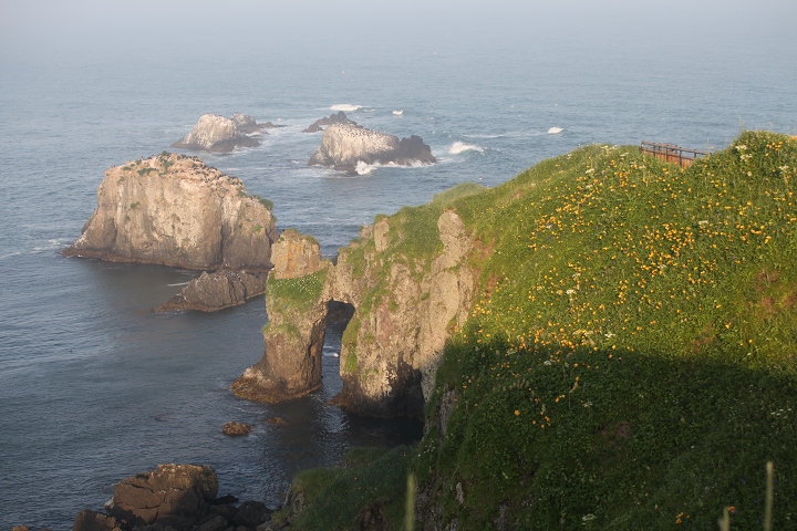 ファイル 89-6.jpg