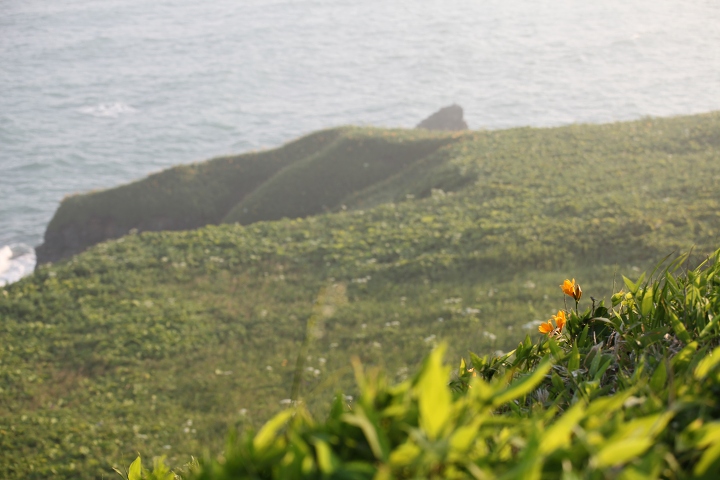 ファイル 89-9.jpg