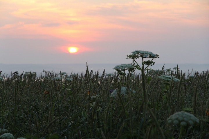 ファイル 90-5.jpg