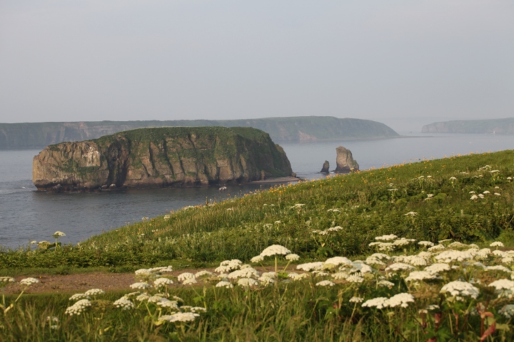 ファイル 91-2.jpg