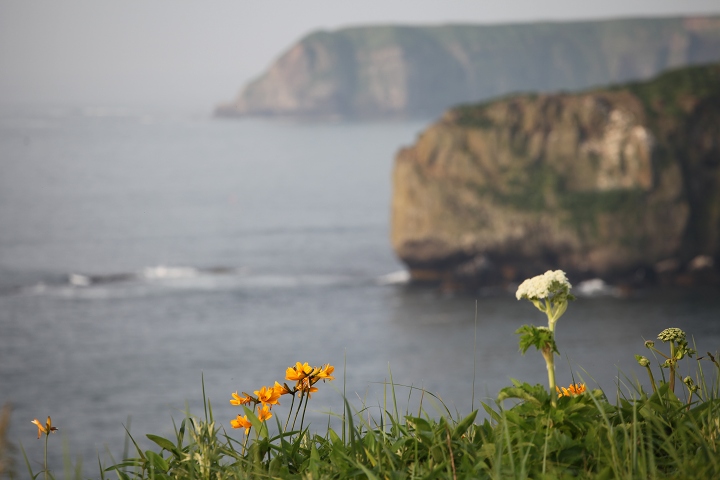 ファイル 91-4.jpg