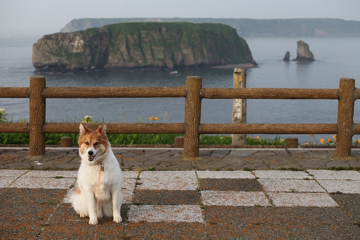 ファイル 91-5.jpg