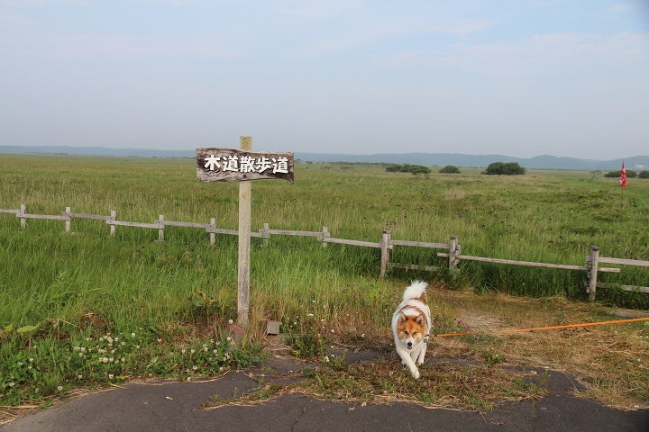 ファイル 91-6.jpg