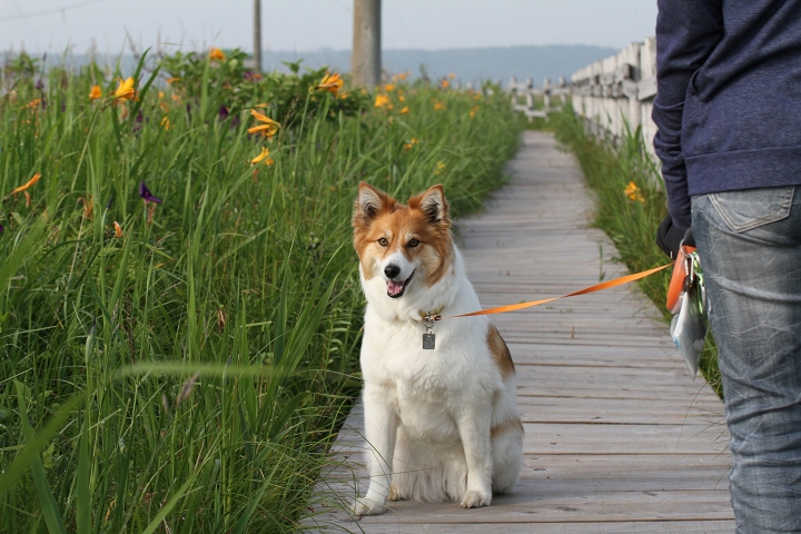 ファイル 91-8.jpg