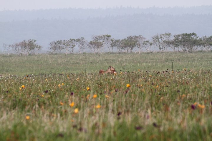 ファイル 91-9.jpg