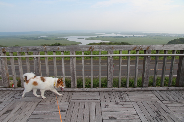 ファイル 92-1.jpg