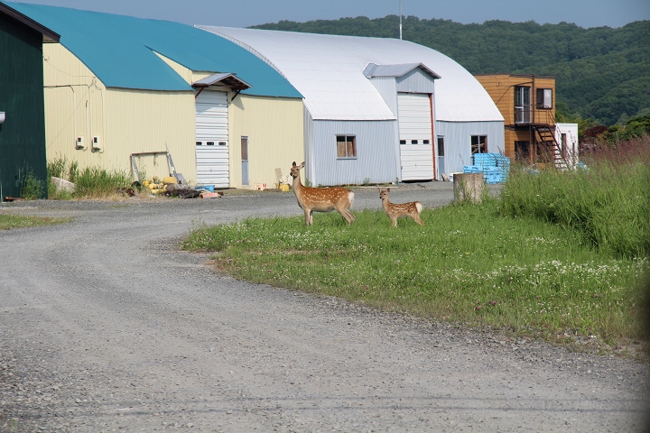 ファイル 92-5.jpg