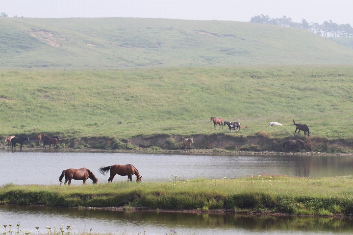 ファイル 92-6.jpg