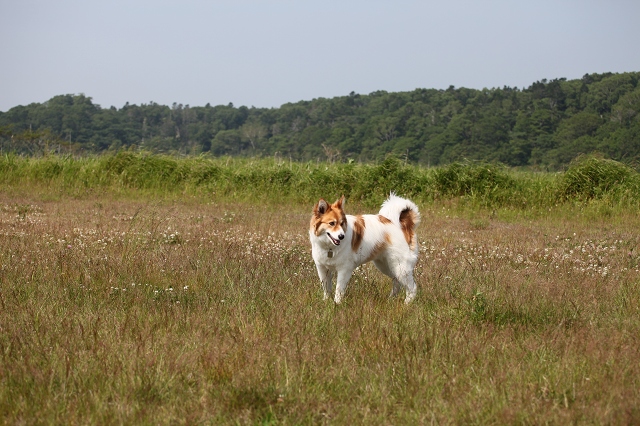 ファイル 93-3.jpg