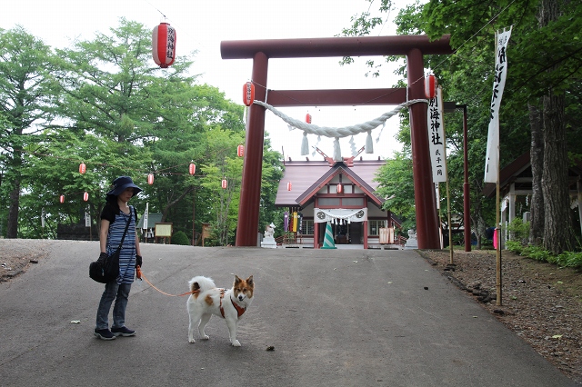 ファイル 94-2.jpg