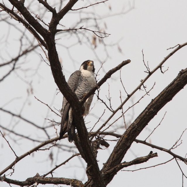 ファイル 95-5.jpg