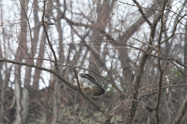 ファイル 95-6.jpg