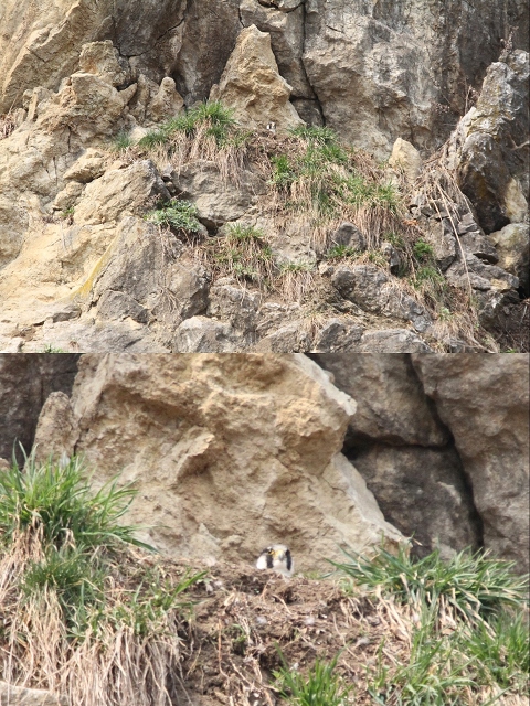 ファイル 95-9.jpg