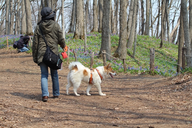 ファイル 96-3.jpg