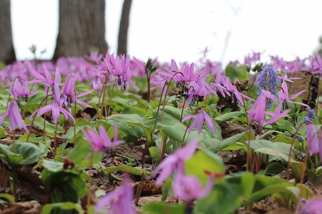 ファイル 96-4.jpg