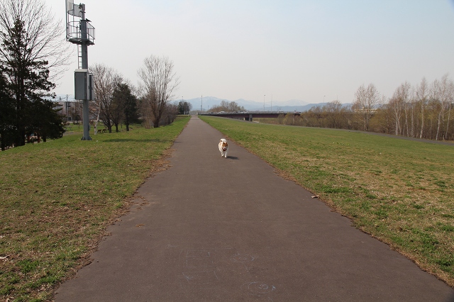 ファイル 97-3.jpg