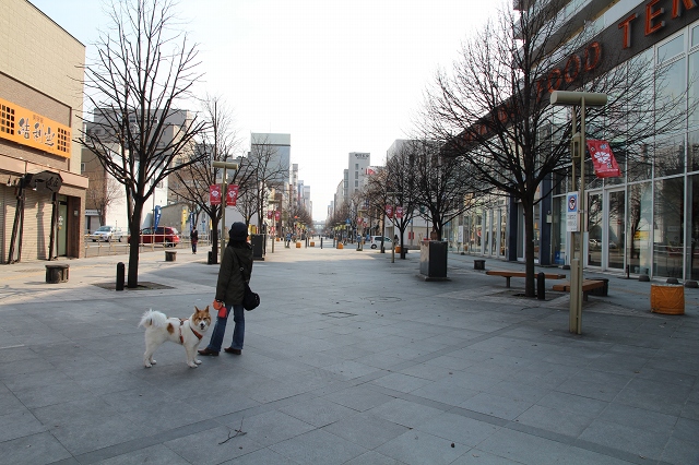 ファイル 97-5.jpg