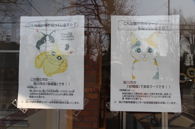 ファイル 97-9.jpg