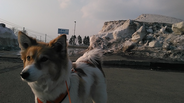 ファイル 98-1.jpg