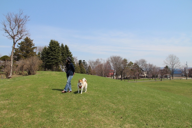 ファイル 99-8.jpg